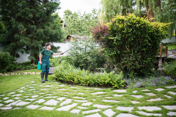 Best Ant Control Services  in Lake Tansi, TN