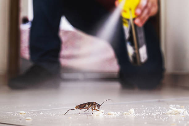 Flea Control Services in Lake Tansi, TN