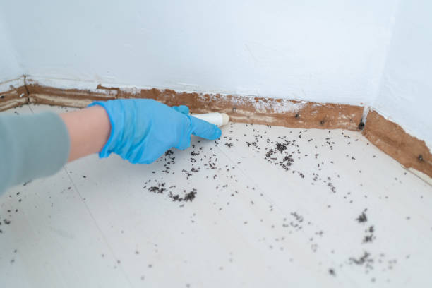 Lake Tansi, TN Pest Control Company